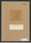 Diatomeae indet. Zeichnungen Sammlung Grunow Nr. 7963 (NHMW-BOT-W0377249)